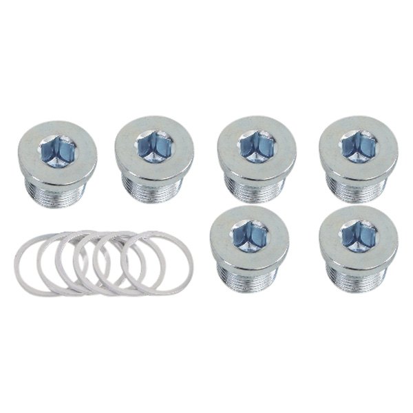 1495T M17X1,50-6 OIL DRAIN PLUGS+WASHERS