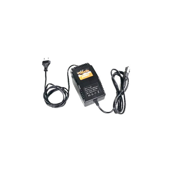 1498/12-/24 R20-MAINS POWER SUPPLY