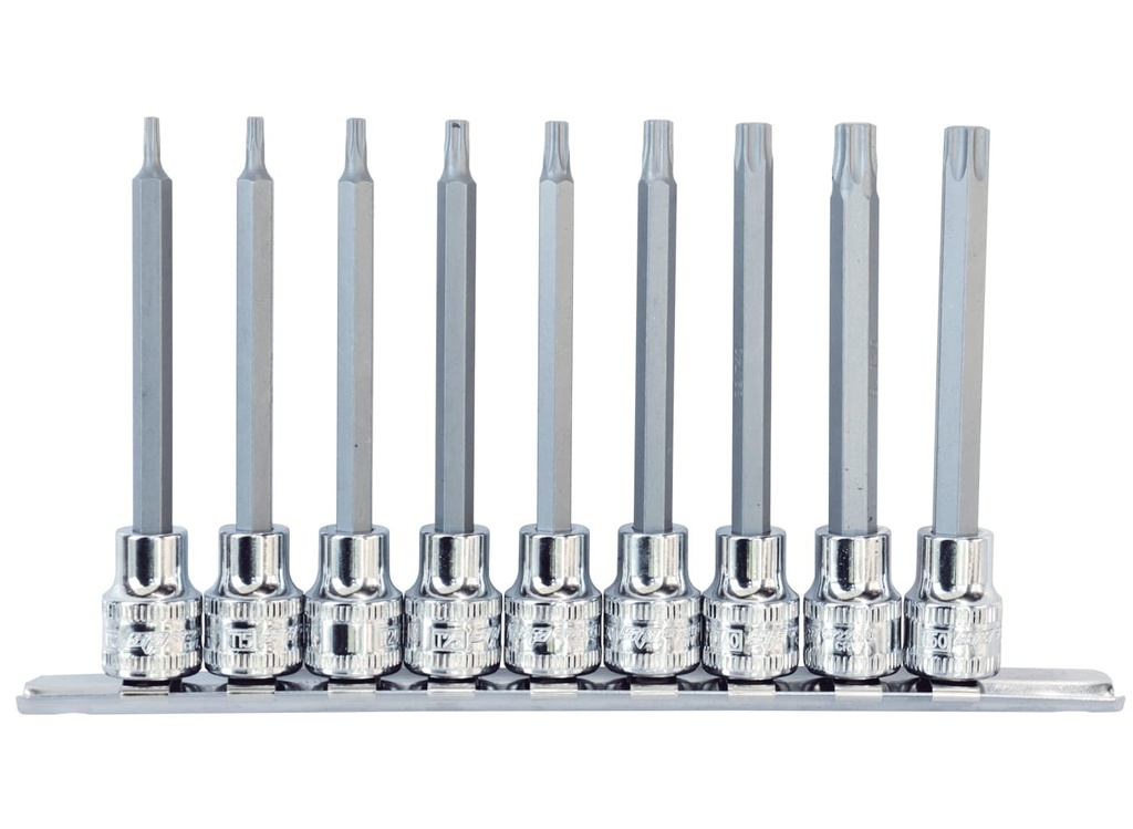SOCKET RAIL 3/8 DR TORX PLUS 100MM 10PC