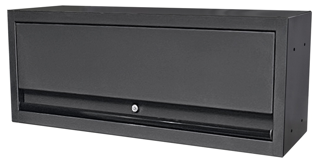 LIFT UP WALL CABINET FOR SUMO WORKSHOP SERIES