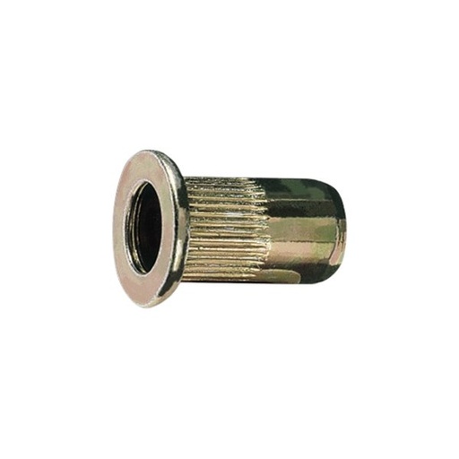[017420016] 1742R-A M6-STEEL THREADED RIVETS 20PCS